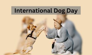 International Dog Day