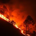 जंगलों में लगी भीषण आग से जल रहा उत्तराखंड, खतरे में हाई कोर्ट कॉलोनी