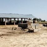 UP के कानपुर देहात की गौशाला में अव्यवस्थाओं की भरमार, खतरे में गायों की जान