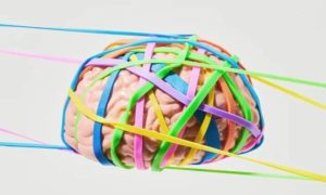 brain plasticity rubber