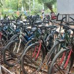 धूल खाती साइकिलों के साथ वड़ोदरा आखिर कैसे मनाएं World Bicycle Day