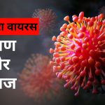 Chandipura Virus: गुजरात में नए वायरस की दस्तक, 2 दिन के अंदर 6 बच्चों की मौत