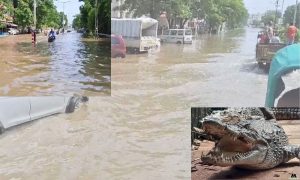 vadodara flood update n