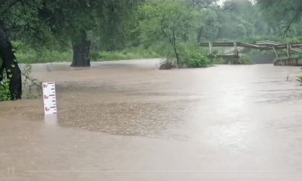 vadodara rain update