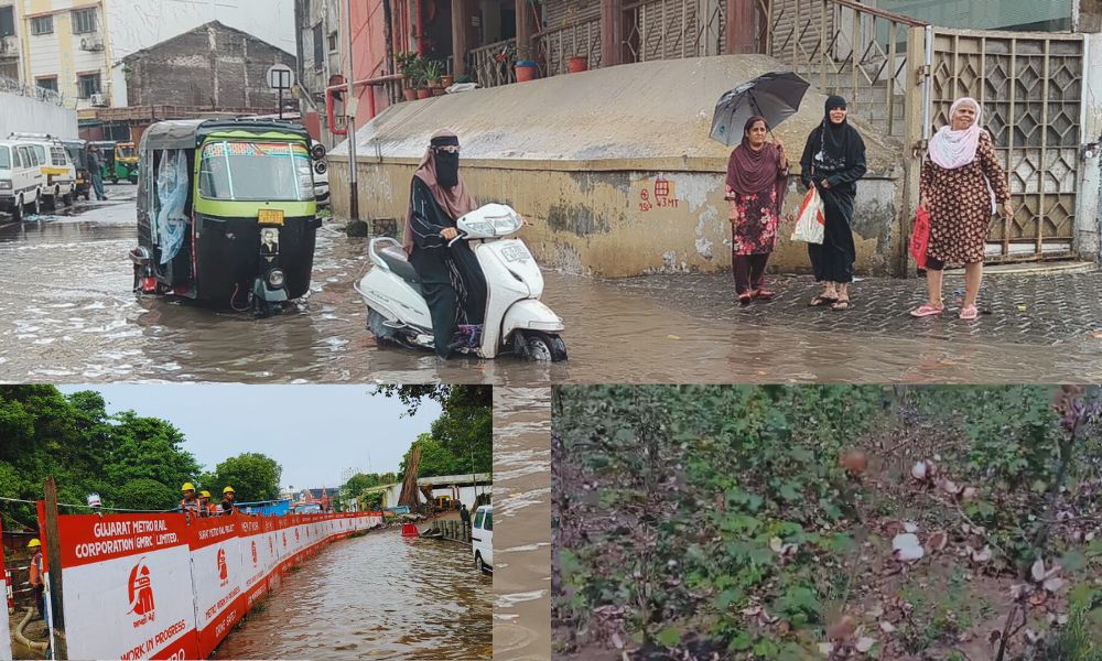 Unseasonal rain in Gujarat