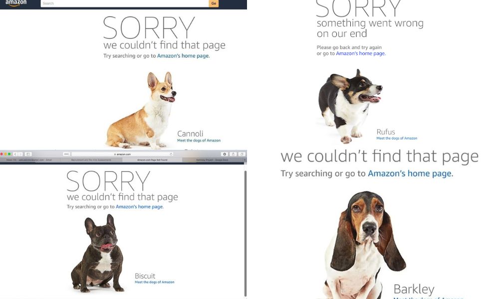 amazon error 404