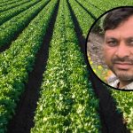 Organic Farming in gujarat