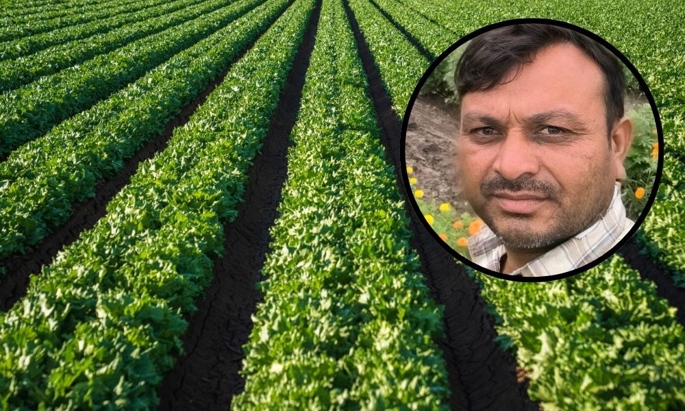 Organic Farming in gujarat