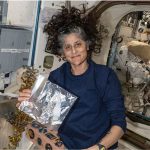 sunita williams space walk