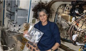 sunita williams space walk